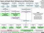 Sepsis, and Septic Shock: Pathogenesis and Clinical Findings | Calgary ...