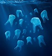 Deux fois plus de déchets plastique dans les océans d'ici 2030, alerte ...