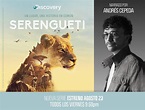 Andrés Cepeda narra para Colombia la serie Serengueti de Discovery ...