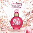 Fantasy in Bloom Britney Spears perfume - a new fragrance for women 2017
