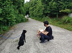 聽毛寶貝聲音 新北訓犬師成功推銷21犬隻認養 - 台灣焦點與掌故