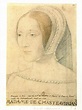 Françoise de Foix: the first long-term maîtresse-en-titre of King ...