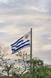 Bandera De Uruguay En El Cuadrado De La Bandera De Montevideo Foto de ...