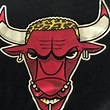 Dennis Rodman Bulls Horns T Shirt | Dennis rodman, Chicago bulls art ...