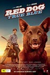 Red Dog: True Blue Pictures - Rotten Tomatoes
