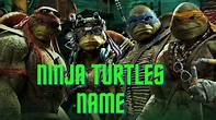 Teenage Mutant Ninja Turtles Names: The Origins And Meanings