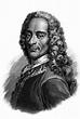 Portrait of Voltaire, engraving Drawing by French School - Pixels
