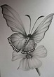 Lapiz Mariposas Y Flores Para Dibujar