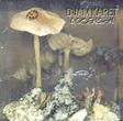 Djam Karet | Discography | Ascension: New Dark Age Volume 2
