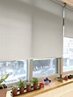 [案例] 明亮又有設計感的辦公室窗簾 －PVC防潑水捲簾 | MSBT幔室布緹 織品窗簾家飾