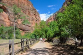 Stare At Gorgeous Red Cliffs On The Riverside Walk Trail, A Short And ...