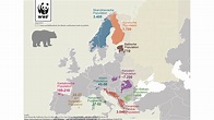 Verbreitung der Braunbären in Österreich und Europa - WWF Österreich