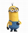 Kevin Minion PNG Photos | PNG Mart
