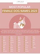 100+ OF THE BEST GIRL DOG NAMES - DECEMBER 2023 – Two Tails Pet Company