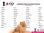 101+ Nombres Bonitos para Perros | Actualizado 2021
