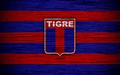 Pin en tigre