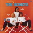 The Honeys - Running Away From Love / Go Away Boy – NIGHT BEAT RECORDS
