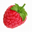 Raspberry PNG Image - PurePNG | Free transparent CC0 PNG Image Library