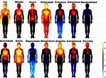El mapa corporal de las emociones. Localiza dónde las sientes