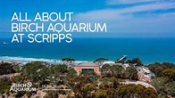 Birch Aquarium at Scripps Institution of Oceanography - YouTube