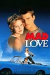 Mad Love (1995) — The Movie Database (TMDB)