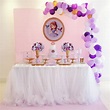 Decoração De Festa Infantil Tema Princesa Sofia Simples - Últimas Decoração