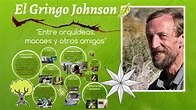 El Gringo Johnson by facundo gonzalez