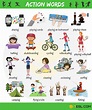 300+ Common Verbs With Pictures | English Verbs For Kids - 7 E S L