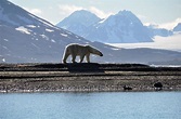 Tromsø - Bear Island- Spitsbergen 2022
