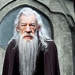 ian mckellen as dumbledore in harry potter | Stable Diffusion | OpenArt