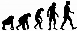 Evolution als Thema im Abitur - Evolution