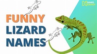 These Funny Lizard Names Will Make You Giggle! - Names Crunch