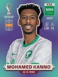 Mohamed Kanno | Arabia saudita, Qatar, Mundial de futbol