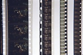 Smithsonian Collections Blog: The Summer of Super 8