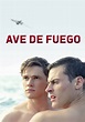 Firebird - película: Ver online completas en español