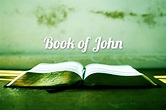 Summary of John Chapters 1 to 21 - John15.Rocks