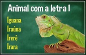 Animal com I - BMA