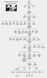 Porsche Diagram Family tree Music, porsche, angle, text, family Tree ...