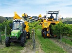 Brookfield Vine Services