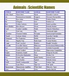 Nomes Cientificos De Animais - EDULEARN