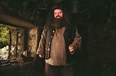 Rubeus Hagrid (Robbie Coltrane) in Harry Potter and the Prisoner of ...