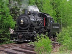 Signs of Summer: Steam Engines and Lupine! - 365 Days of Birds