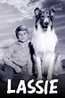 Lassie 1954 | estudioespositoymiguel.com.ar