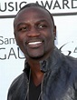 Akon Picture 73 - 2013 American Music Awards - Arrivals