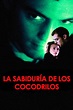 La sabiduría de los cocodrilos, ver ahora en Filmin