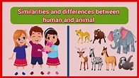 Similarities and differences between human and animal- Comparison of ...