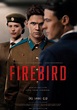 Firebird streaming: where to watch movie online?
