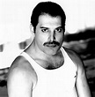 Freddie Mercury - HQ - Freddie Mercury Photo (31872953) - Fanpop - Page 5