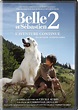 Belle and Sebastian: The Adventure Continues: Amazon.de: DVD & Blu-ray