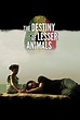 The Destiny of Lesser Animals | Rotten Tomatoes